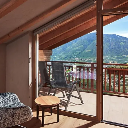 酒店 Hotel-garni Ehrenfels 思科纳
