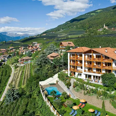 Hotel-garni Ehrenfels 酒店 思科纳